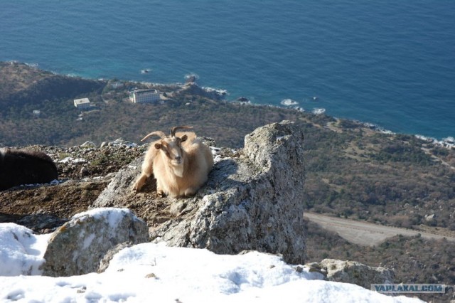 Крым. Терновка. Зимние дороги.
