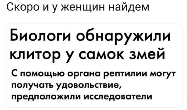 Немного мемчиков. Для взрослых. Часть 27