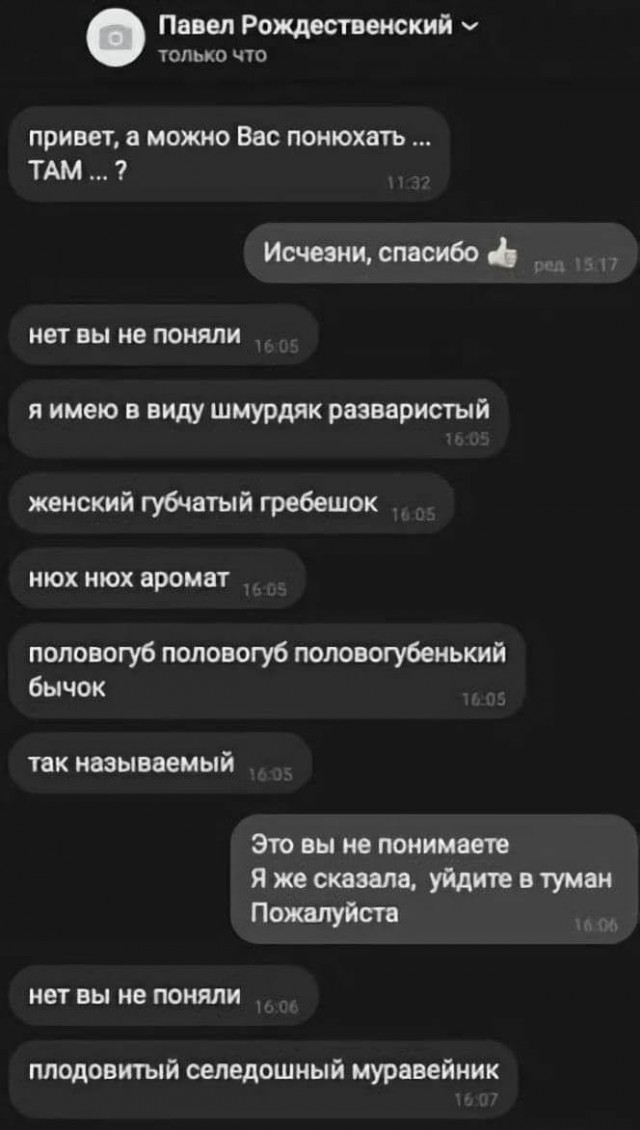 Пятница. И немного слегка пошлых картинок с надписями и без 16+ (30.12)