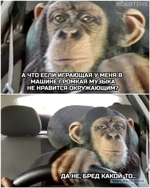 Немного слайдов для автолюбителей