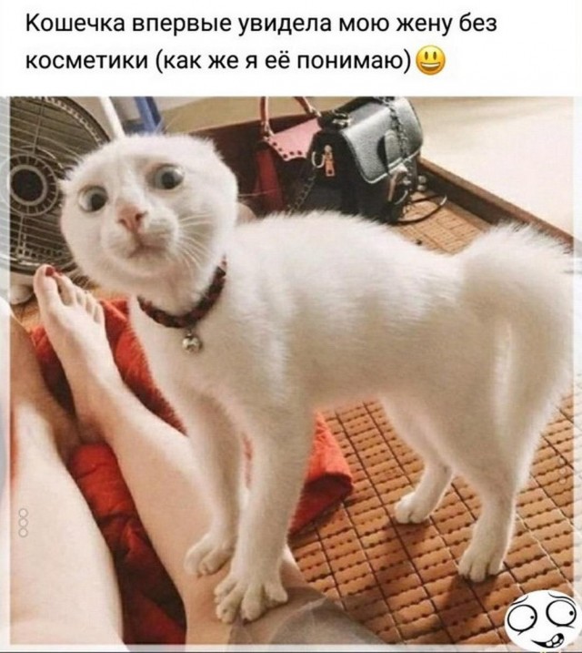 Нуштош 19.04.2023