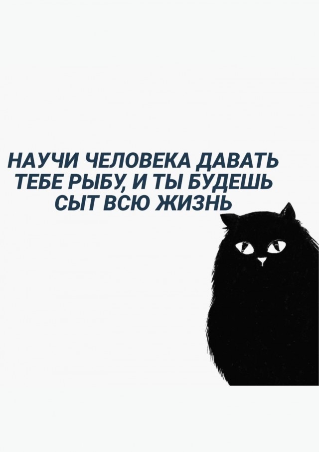 Скупка краденого из сети 15-06-2023