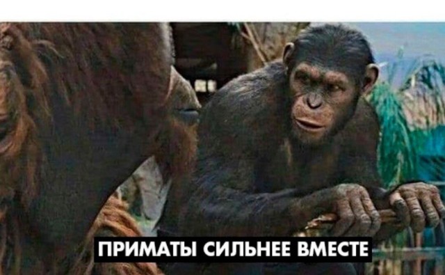 Массовая драка между иностранными специалистами в Чехове случилась ночью на Старосимферопольском шоссе недалеко от Чепелево
