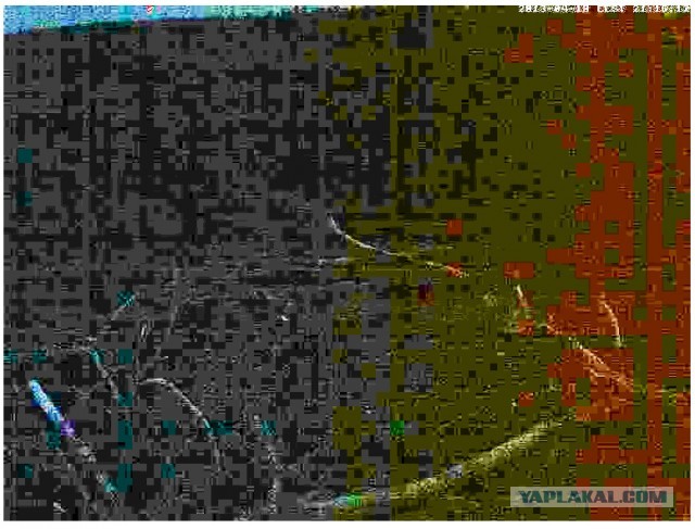 Онлайн трансляция из гнезда Kalakotkas