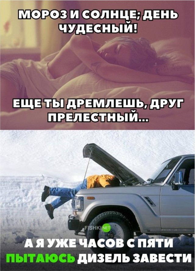 Утренний сюрприз