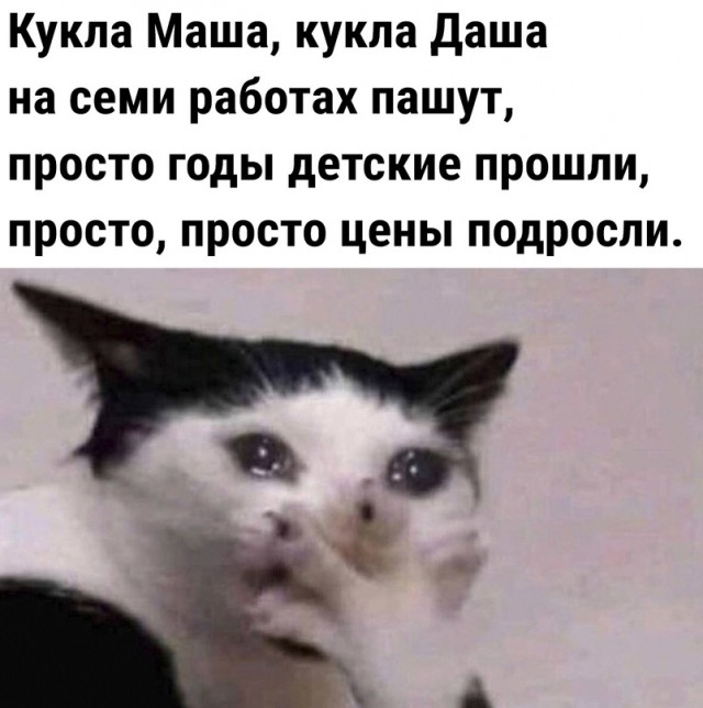 Так себе картинки 19.12.23