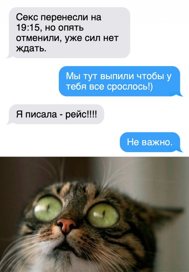 Улыбательные картинки околоновогодней тематики.
