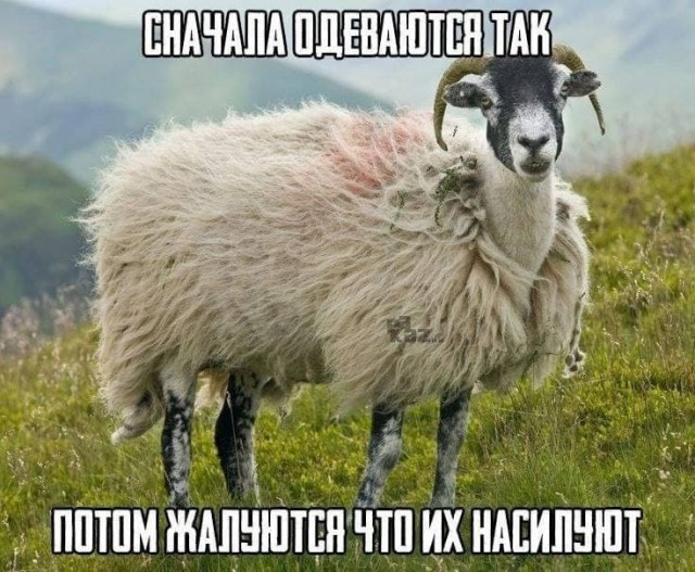 Тюменский адвокат пригрозил адом для судьи за арест подростков