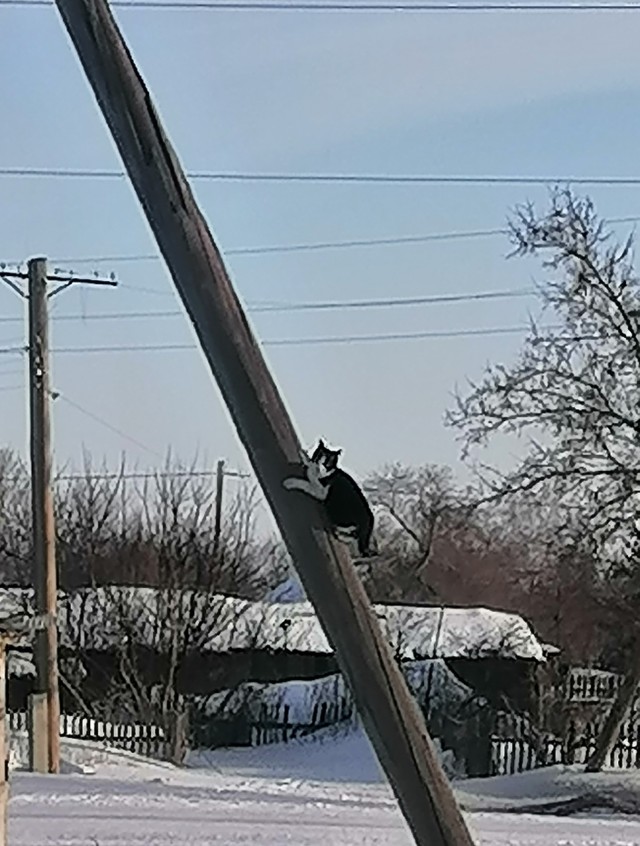Хорошо в деревне утром