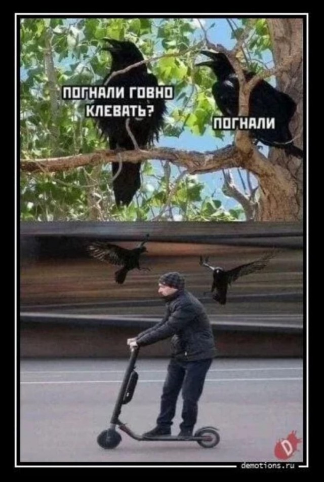«Без скотча из дома теперь нельзя»