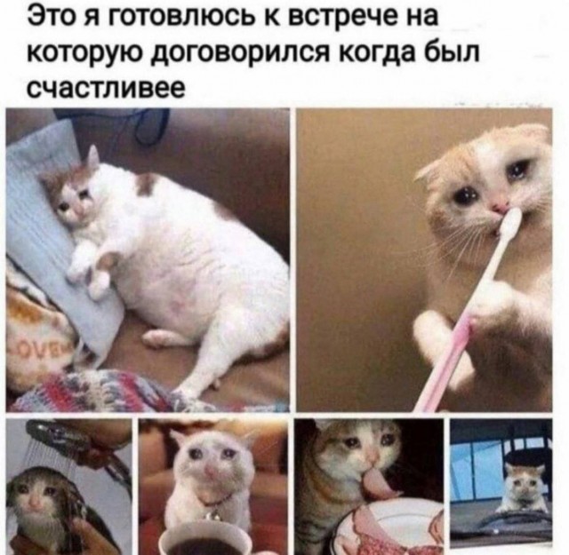 Нуштош 15.05.2024