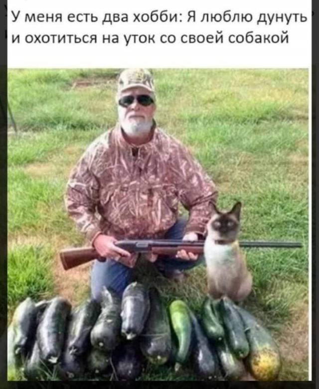 Нуштош 30.05.2024