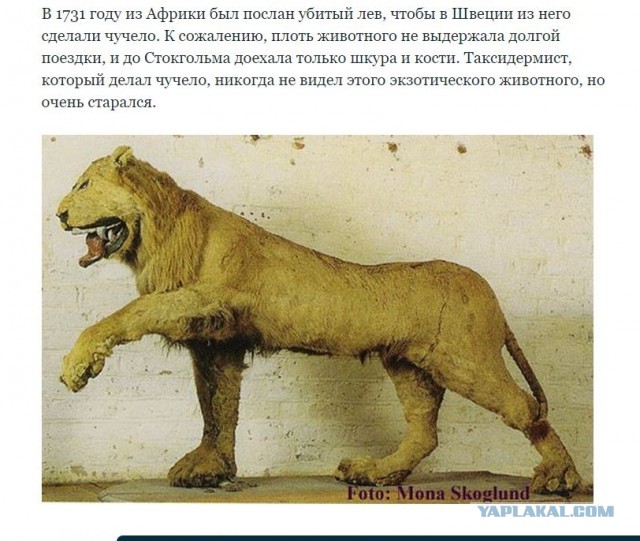 Природа удивительна