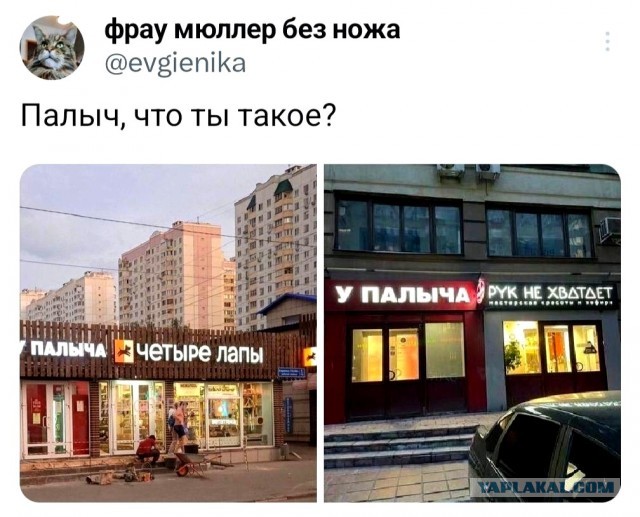 Веселые картинки (02.07)
