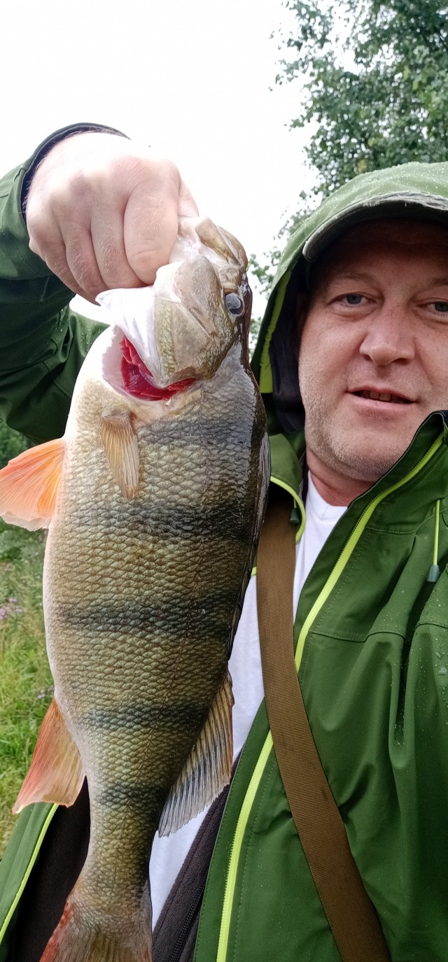 Побил свой рекорд по окуню