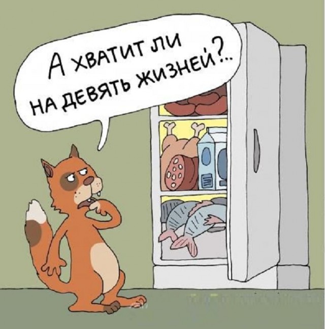 Картинки разные с надписями и без