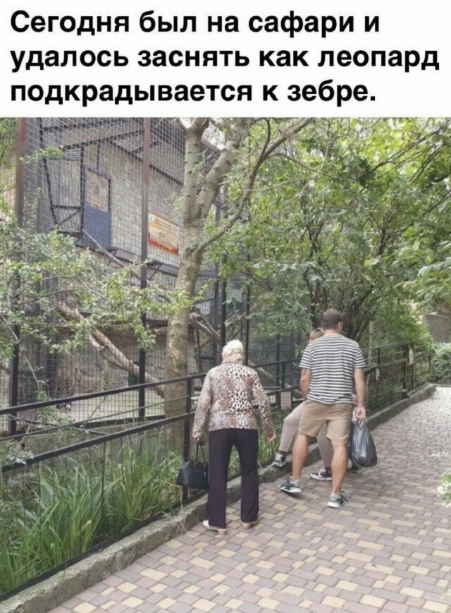 Суббото-баяно-лар