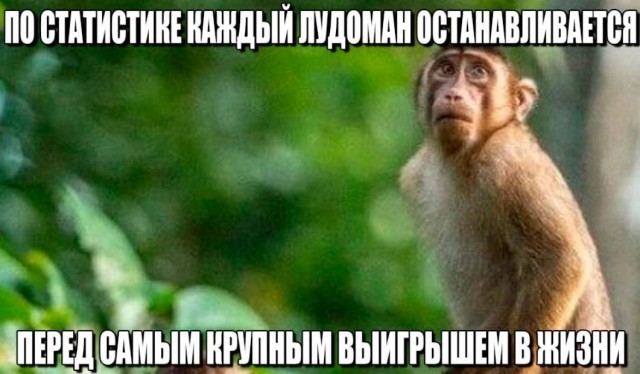 Всего понемногу. От 03.09.24