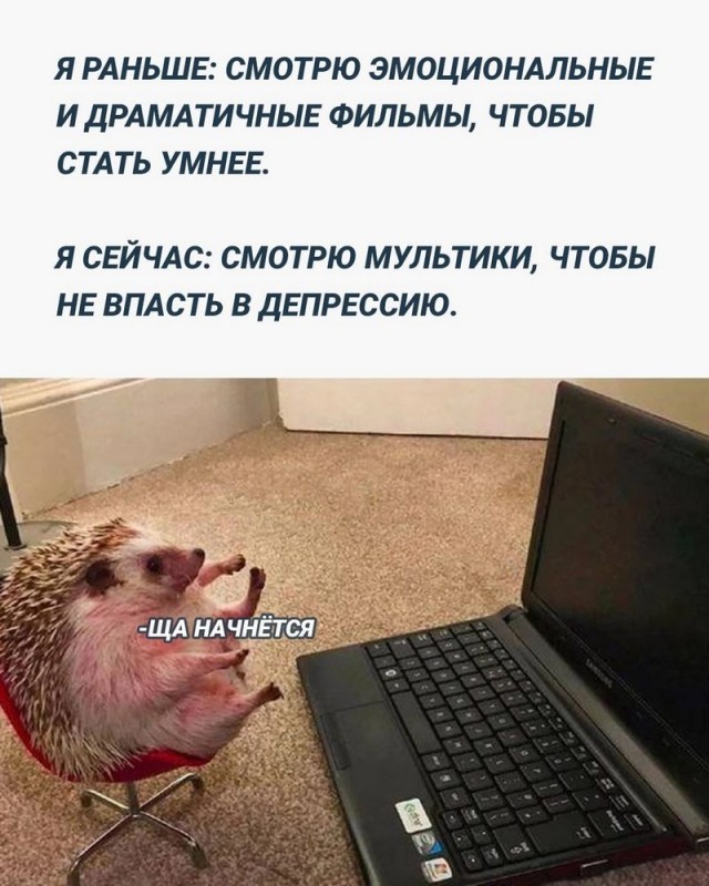 Завалялось тут случайно немного забавных картинок