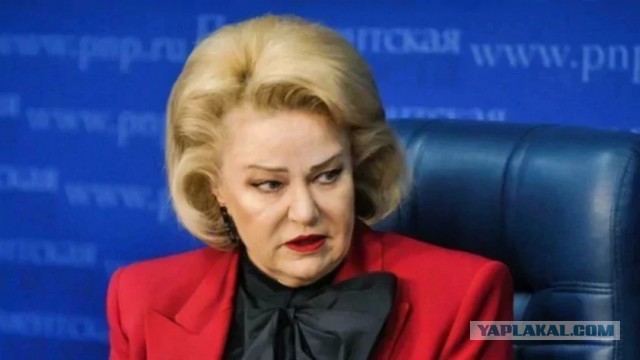 Ни денег, ни жилья. Депутат Госдумы с Алтая нашла вину мужчин в отказе женщин рожать