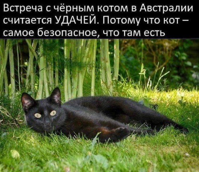 Картинки разные с надписями и без