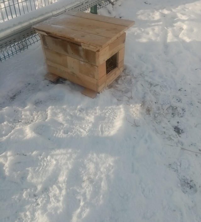Собак