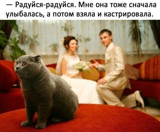 Так себе картинки 09.01.25