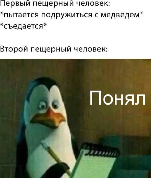 Немного забавных картинок от 13.02.2025