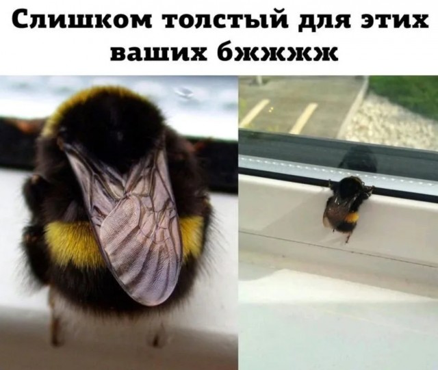 Завалялось тут случайно немного забавных картинок