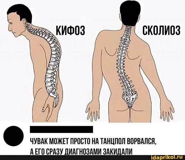 Блогерам запретят делать интервью с эскортницами