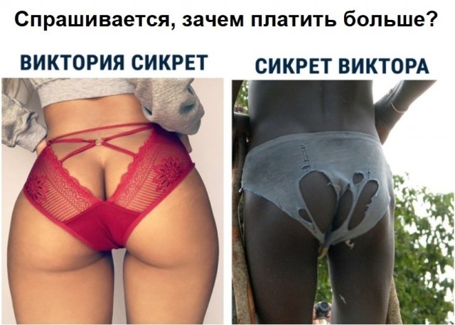 Утро баяном не испортишь