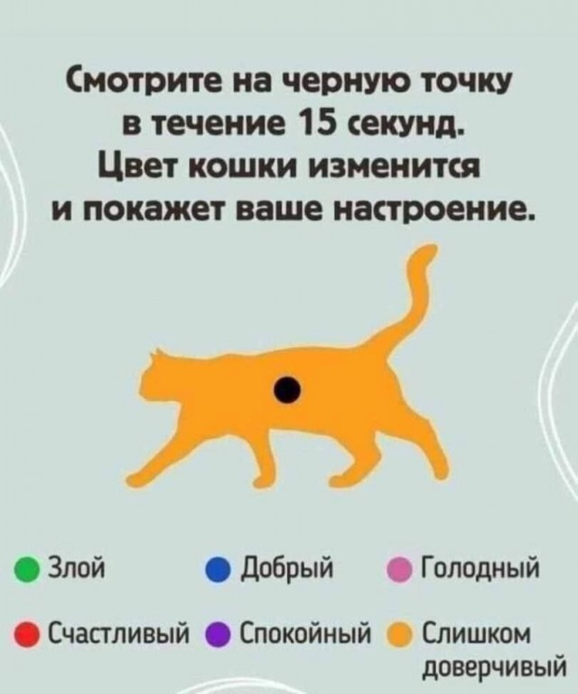 Так себе картинки 22.06.25