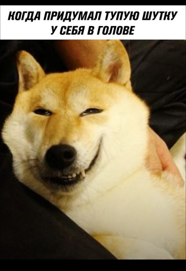 Какая у вас любимая хохма?