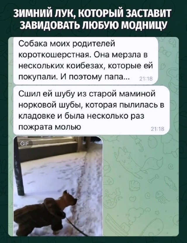 Так себе картинки 26.09.25