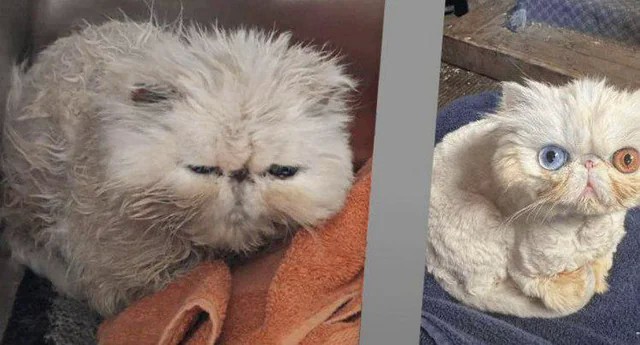 До и после...