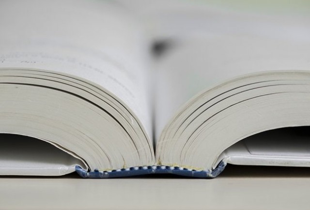 Кембриджский словарь назвал "парасоциальный" словом года - 2025