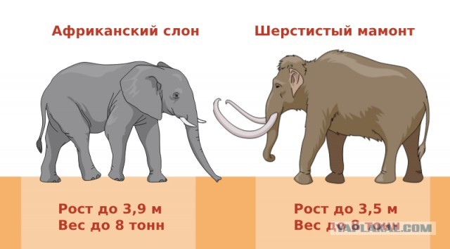 Когда в Сибири изменился климат? И почему он сегодня такой суровый.