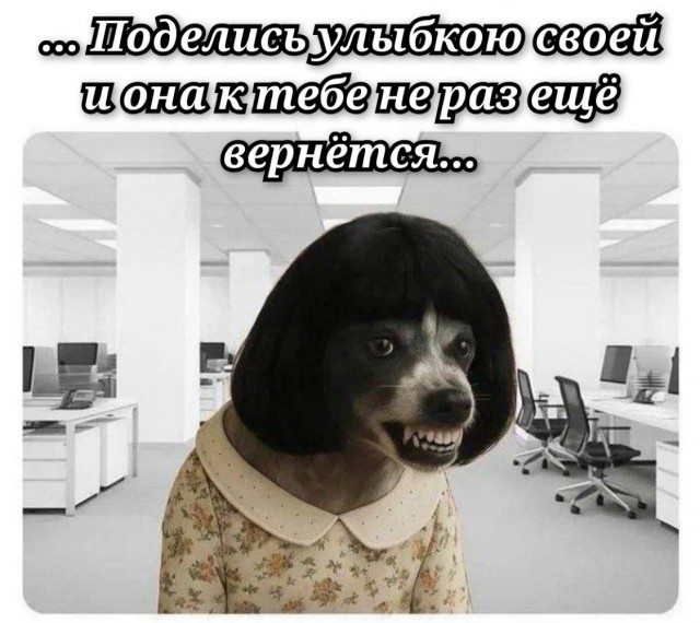 Среды картинки