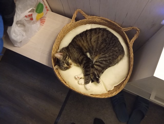 Просто кость широкая