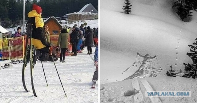 «От десяти до двенадцати кружек пива» – лыжник напился во время гонки.