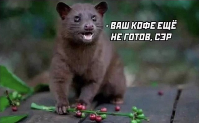Немного картинок на ночь