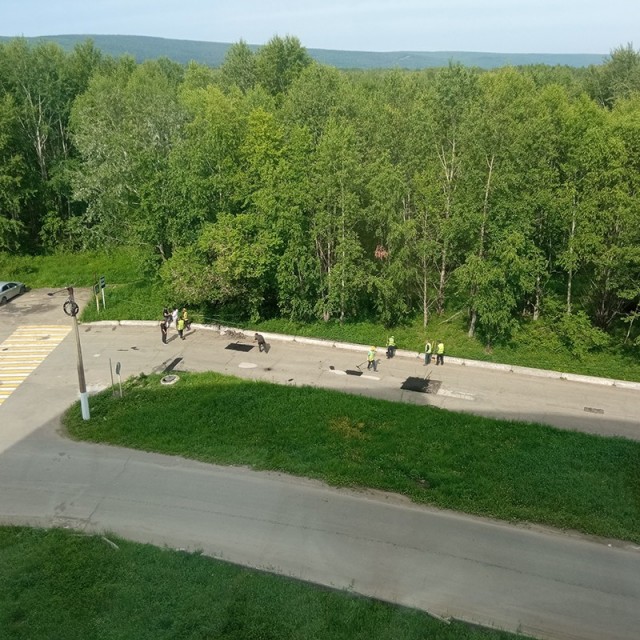 Ремонт дороги