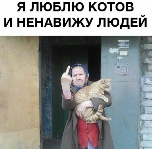 Картинки для настроения