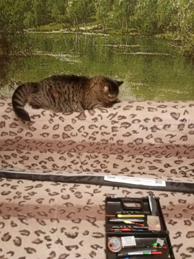 Вы рыбов ловите?