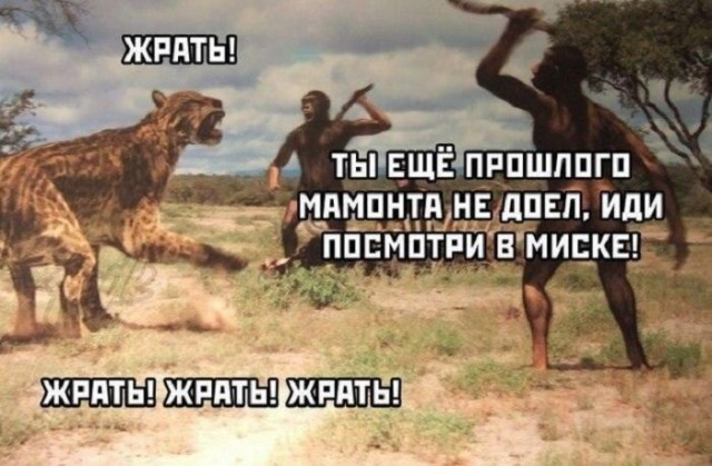 Пятничные бояны