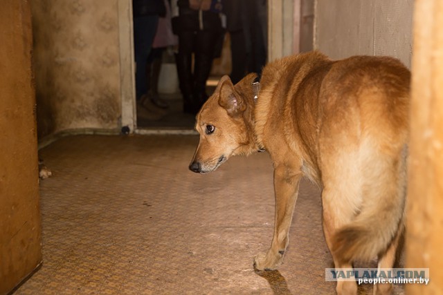 Рушащиеся семьи, пьянь, рвань, безнадега