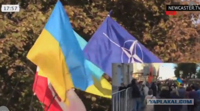 Прямая трансляция марша мира!
