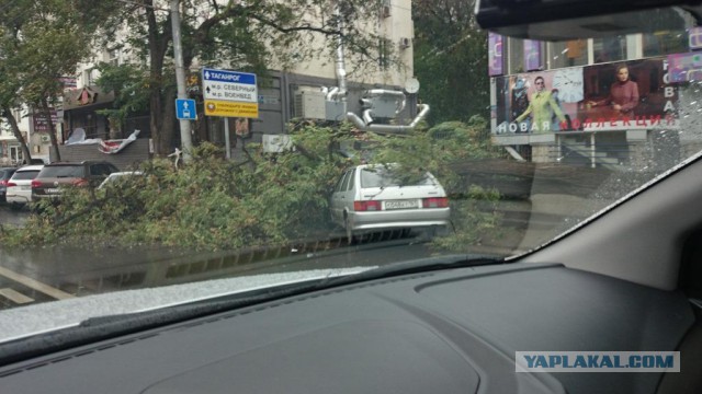 В Ростовской области бушует ураган