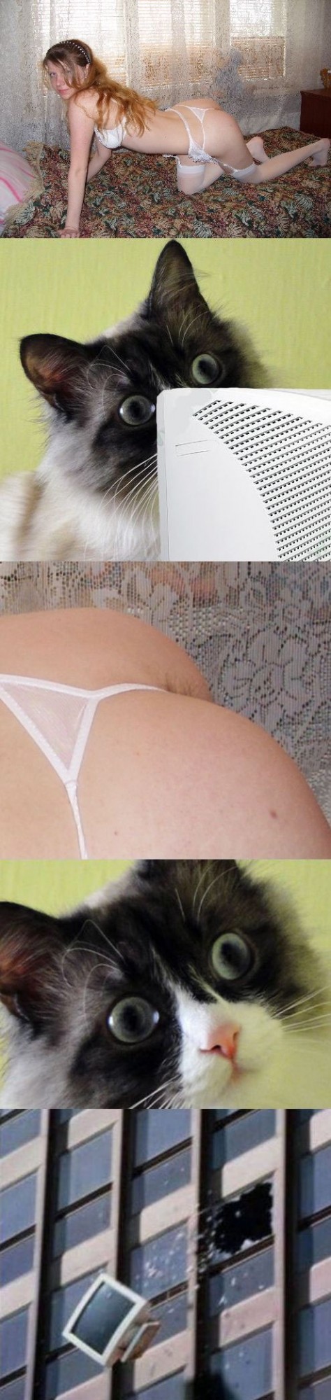 Мои глаза! (16+, наверное)