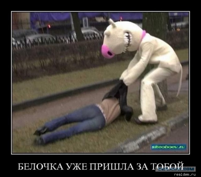 Студенческий юмор